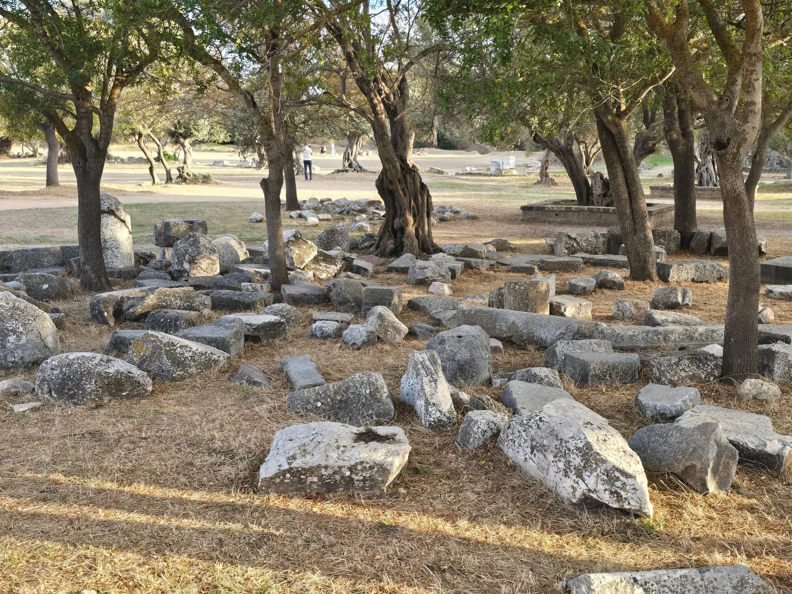 Rodos — miejsce gimnazjonu