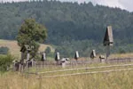 Cmentarz wojenny w Beskidzie Niskim
