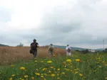 Góry Świętokrzyskie