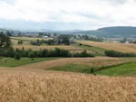 Góry Świętokrzyskie