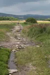Góry Świętokrzyskie