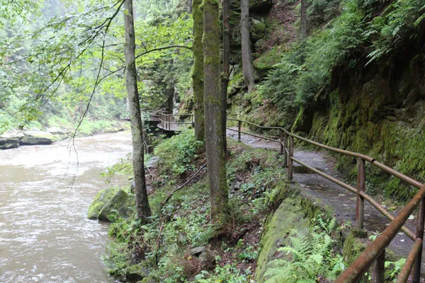 Kamienica