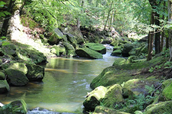 Kamienica