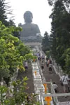 Lantau Ngong Pink