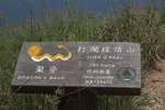 Lantau