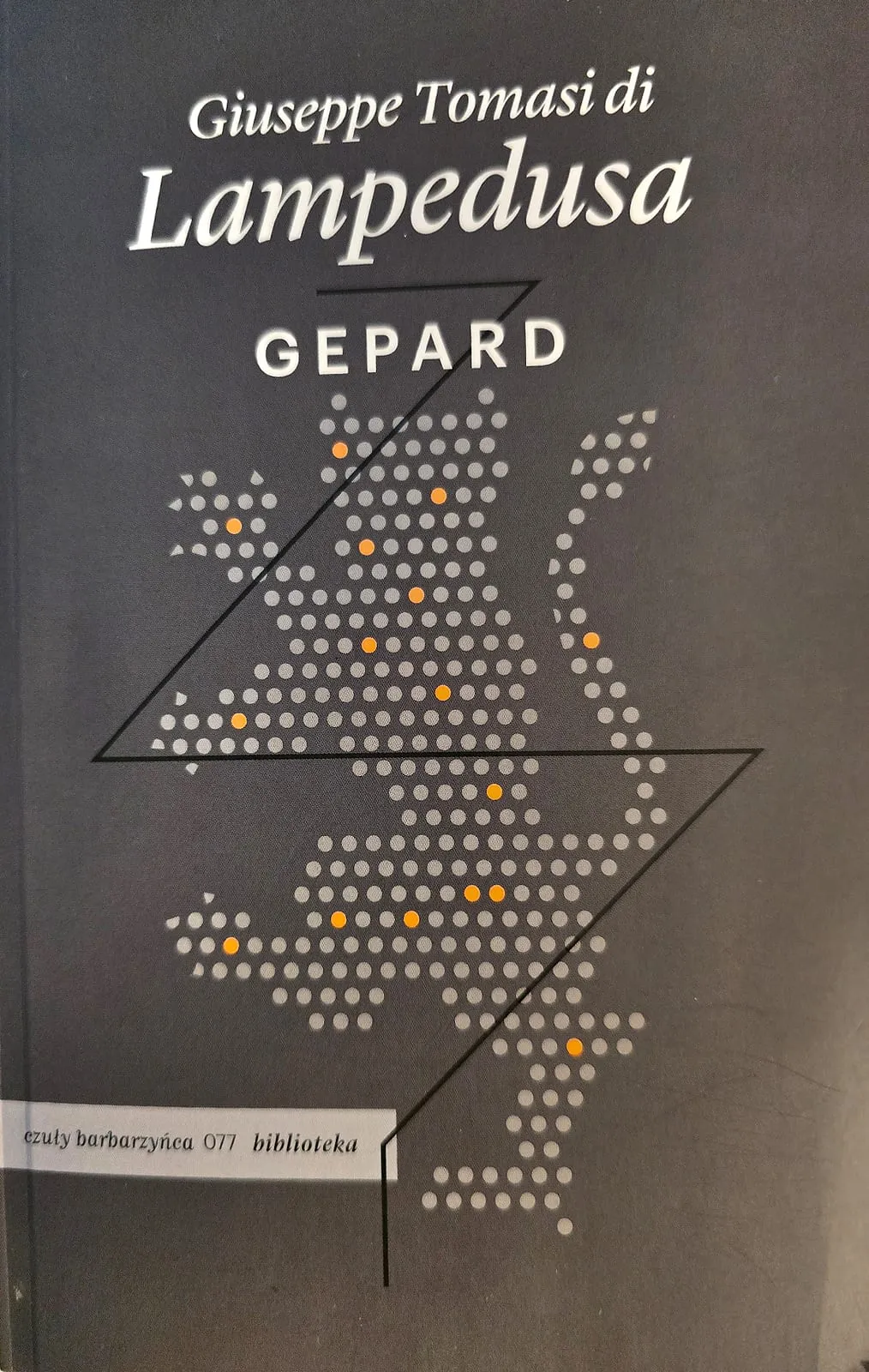 Okładka „Gepard”