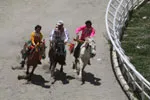 Zhongdian Horse Racing Festival