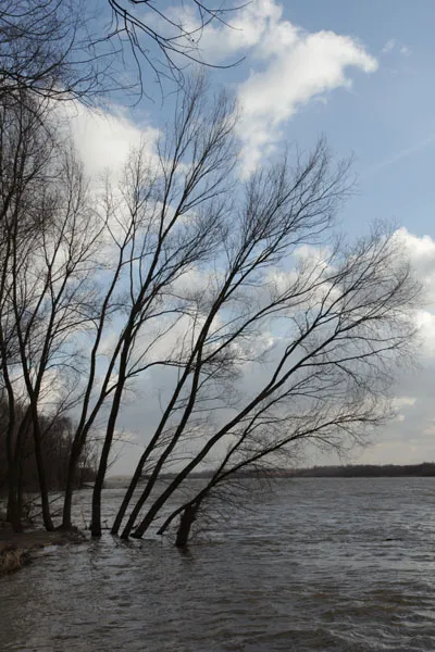 Wisła