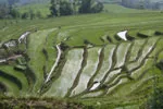 Yuanyang