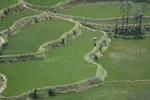Yuanyang